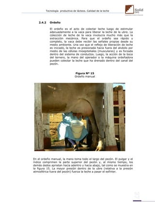 Tecnología productiva de lácteos. Calidad de la leche 
2.4.2 Ordeño 
El ordeño es el acto de colectar leche luego de estimular adecuadamente a la vaca para liberar la leche de la ubre. La colección de leche de la vaca involucra mucho más que la extracción mecánica. Para que el ordeño sea rápido y completo, la vaca debe recibir las señales propias desde su medio ambiente. Una vez que el reflejo de liberación de leche es iniciado, la leche es presionada hacia fuera del alvéolo por medio de las células mioepiteliales (musculares) y es forzada dentro del sistema de conductos. Luego, la acción de la boca del ternero, la mano del operador o la máquina ordeñadora pueden colectar la leche que ha drenado dentro del canal del pezón. 
Figura Nº 15 
Ordeño manual 
En el ordeño manual, la mano toma todo el largo del pezón. El pulgar y el índice comprimen la parte superior del pezón y, al mismo tiempo, los demás dedos aprietan hacia adentro y hacia abajo, tal como se muestra en la figura 15. La mayor presión dentro de la ubre (relativa a la presión atmosférica fuera del pezón) fuerza la leche a pasar el esfínter. 
 