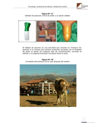Tecnología productiva de lácteos. Calidad de la leche 
Figura N° 17 
Sellador de pezones, forma de sellar y un pezón sellado 
El sellado de pezones es una actividad que consiste en introducir los pezones a un envase que contiene productos ionizados con la finalidad de aislar al pezón de cualquier tipo de contaminación, cerrando el esfínter y no dejando atravesar microbios hacia el canal. 
Figura N° 18 
Inmediata alimentación de la vaca después del ordeño 
 