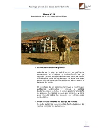 Tecnología productiva de lácteos. Calidad de la leche 
Figura Nº 23 
Alimentación de la vaca después del ordeño 
 
 
 
 
 
 
 
 
 
 
 
 Prácticas de ordeño higiénico 
Además de lo que se indicó contra los patógenos contagiosos, el presellado o predesinfección de los pezones con una solución desinfectante es un excelente método para evitar el uso excesivo de agua, que sirve como vehículo para que los patógenos ganen acceso a la punta del pezón. 
El presellado de los pezones disminuye la mastitis por patógenos ambientales y mejora la calidad bacteriológica de la leche. El sellado posterior al ordeño no previene la mastitis causada por coliformes y tiene poco impacto sobre las causadas por estreptococos ambientales. 
 Buen funcionamiento del equipo de ordeño 
Se debe evitar los escurrimientos, las fluctuaciones de vacío y optimizar las pulsaciones. 
 