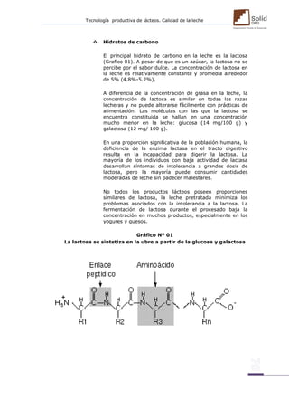 Tecnología productiva de lácteos. Calidad de la leche 
 Hidratos de carbono 
El principal hidrato de carbono en la leche es la lactosa (Grafico 01). A pesar de que es un azúcar, la lactosa no se percibe por el sabor dulce. La concentración de lactosa en la leche es relativamente constante y promedia alrededor de 5% (4.8%-5.2%). 
A diferencia de la concentración de grasa en la leche, la concentración de lactosa es similar en todas las razas lecheras y no puede alterarse fácilmente con prácticas de alimentación. Las moléculas con las que la lactosa se encuentra constituida se hallan en una concentración mucho menor en la leche: glucosa (14 mg/100 g) y galactosa (12 mg/ 100 g). 
En una proporción significativa de la población humana, la deficiencia de la enzima lactasa en el tracto digestivo resulta en la incapacidad para digerir la lactosa. La mayoría de los individuos con baja actividad de lactasa desarrollan síntomas de intolerancia a grandes dosis de lactosa, pero la mayoría puede consumir cantidades moderadas de leche sin padecer malestares. 
No todos los productos lácteos poseen proporciones similares de lactosa, la leche pretratada minimiza los problemas asociados con la intolerancia a la lactosa. La fermentación de lactosa durante el procesado baja la concentración en muchos productos, especialmente en los yogures y quesos. 
Gráfico Nº 01 
La lactosa se sintetiza en la ubre a partir de la glucosa y galactosa 
 
