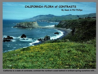 CALIFORNIA-FLORA of CONTRASTSCALIFORNIA-FLORA of CONTRASTS
By Gwen & Phil PhillipsBy Gwen & Phil Phillips
California is a state of contrasts; contrast the northern coast bathed in brilliant spring sunshine with…
 
