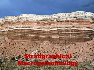 Stratigraphical
Macropaleontology
 
