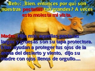 Beb é :  ¿ Bien, entonces por qu é  son nuestras  pesta ñ as  tan grandes? A veces  esto molesta mi vista.   Madre:  Hijo m í o, aquellas pesta ñ as largas y gruesas son su tapa protectora. Ellas ayudan a proteger tus ojos de la arena del desierto y viento,  dijo su madre con ojos llenos de orgullo....  