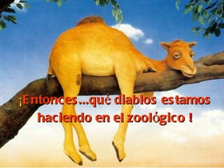 ¡ Entonces...qu é  diablos estamos haciendo en el zool ó gico  ! 