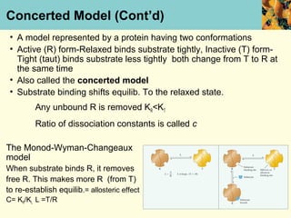 Concerted Model (Cont’d)
 • A model represented by a protein having two conformations
 • Active (R) form-Relaxed binds substrate tightly, Inactive (T) form-
   Tight (taut) binds substrate less tightly both change from T to R at
   the same time
 • Also called the concerted model
 • Substrate binding shifts equilib. To the relaxed state.
         Any unbound R is removed KR<KT
         Ratio of dissociation constants is called c

The Monod-Wyman-Changeaux
model
When substrate binds R, it removes
free R. This makes more R (from T)
to re-establish equilib.= allosteric effect
C= KR/KL L =T/R
 