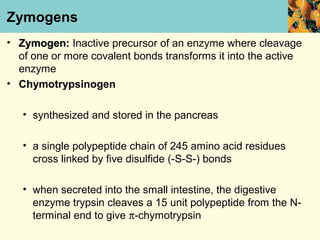 Zymogens
• Zymogen: Inactive precursor of an enzyme where cleavage
  of one or more covalent bonds transforms it into the active
  enzyme
• Chymotrypsinogen

   • synthesized and stored in the pancreas

   • a single polypeptide chain of 245 amino acid residues
     cross linked by five disulfide (-S-S-) bonds

   • when secreted into the small intestine, the digestive
     enzyme trypsin cleaves a 15 unit polypeptide from the N-
     terminal end to give π-chymotrypsin
 