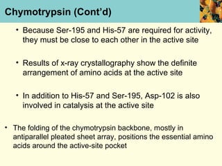 Chymotrypsin (Cont’d)
   • Because Ser-195 and His-57 are required for activity,
     they must be close to each other in the active site

   • Results of x-ray crystallography show the definite
     arrangement of amino acids at the active site

   • In addition to His-57 and Ser-195, Asp-102 is also
     involved in catalysis at the active site

• The folding of the chymotrypsin backbone, mostly in
  antiparallel pleated sheet array, positions the essential amino
  acids around the active-site pocket
 