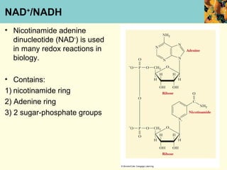 NAD+/NADH
• Nicotinamide adenine
  dinucleotide (NAD+) is used
  in many redox reactions in
  biology.

• Contains:
1) nicotinamide ring
2) Adenine ring
3) 2 sugar-phosphate groups
 