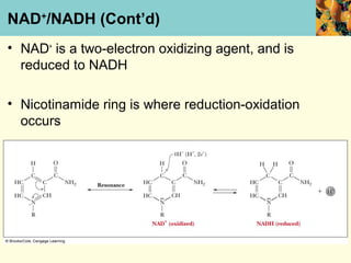 NAD+/NADH (Cont’d)
• NAD+ is a two-electron oxidizing agent, and is
  reduced to NADH

• Nicotinamide ring is where reduction-oxidation
  occurs
 