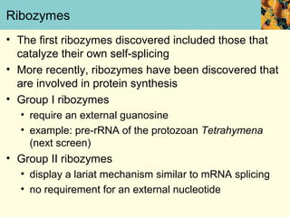 Ribozymes
• The first ribozymes discovered included those that
  catalyze their own self-splicing
• More recently, ribozymes have been discovered that
  are involved in protein synthesis
• Group I ribozymes
  • require an external guanosine
  • example: pre-rRNA of the protozoan Tetrahymena
    (next screen)
• Group II ribozymes
  • display a lariat mechanism similar to mRNA splicing
  • no requirement for an external nucleotide
 