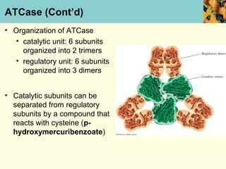 ATCase (Cont’d)
• Organization of ATCase
  • catalytic unit: 6 subunits
    organized into 2 trimers
  • regulatory unit: 6 subunits
    organized into 3 dimers


• Catalytic subunits can be
  separated from regulatory
  subunits by a compound that
  reacts with cysteine (p-
  hydroxymercuribenzoate)
 