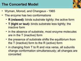 The Concerted Model
• Wyman, Monod, and Changeux - 1965
• The enzyme has two conformations
   • R (relaxed): binds substrate tightly; the active form
   • T (tight or taut): binds substrate less tightly; the
     inactive form
   • in the absence of substrate, most enzyme molecules
     are in the T (inactive) form
   • the presence of substrate shifts the equilibrium from
     the T (inactive) form to the R (active) form
   • in changing from T to R and vice versa, all subunits
     change conformation simultaneously; all changes are
     concerted
 