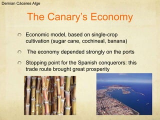 Demian Cáceres Alge


            The Canary’s Economy
           Economic model, based on single-crop
           cultivation (sugar cane, cochineal, banana)

            The economy depended strongly on the ports

           Stopping point for the Spanish conquerors: this
           trade route brought great prosperity
 