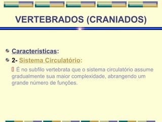 VERTEBRADOS (CRANIADOS) 
Características: 
2- Sistema Circulatório: 
 É no subfilo vertebrata que o sistema circulatório assume 
gradualmente sua maior complexidade, abrangendo um 
grande número de funções. 
 