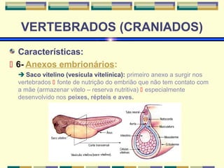 VERTEBRADOS (CRANIADOS) 
Características: 
 6- Anexos embrionários: 
 Saco vitelino (vesícula vitelínica): primeiro anexo a surgir nos 
vertebrados  fonte de nutrição do embrião que não tem contato com 
a mãe (armazenar vitelo – reserva nutritiva)  especialmente 
desenvolvido nos peixes, répteis e aves. 
 