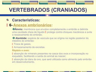 VERTEBRADOS (CRANIADOS) 
Características: 
 6- Anexos embrionários: 
Âmnio: membrana que envolve completamente o embrião e delimita 
uma cavidade cheia de líquido  protege contra choques mecânicos e evita 
o ressecamento do embrião. 
 Alantóide: espécie de vesícula que se origina na região posterior do 
intestino do embrião: 
 Troca de gases. 
 Armazenamento de excretas. 
Répteis e aves: 
 absorção de minerais presentes na casca dos ovos e incorporação no 
esqueleto, facilitando a saída do animal ao nascer; 
 absorção da clara do ovo, que será utilizada como alimento pelo embrião 
em desenvolvimento. 
 
