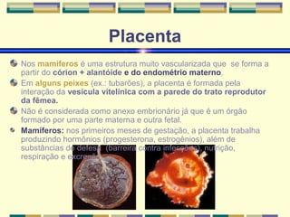 Placenta 
Nos mamíferos é uma estrutura muito vascularizada que se forma a 
partir do córion + alantóide e do endométrio materno. 
Em alguns peixes (ex.: tubarões), a placenta é formada pela 
interação da vesícula vitelínica com a parede do trato reprodutor 
da fêmea. 
Não é considerada como anexo embrionário já que é um órgão 
formado por uma parte materna e outra fetal. 
Mamíferos: nos primeiros meses de gestação, a placenta trabalha 
produzindo hormônios (progesterona, estrogênios), além de 
substâncias de defesa (barreira contra infecções), nutrição, 
respiração e excreção. 
 