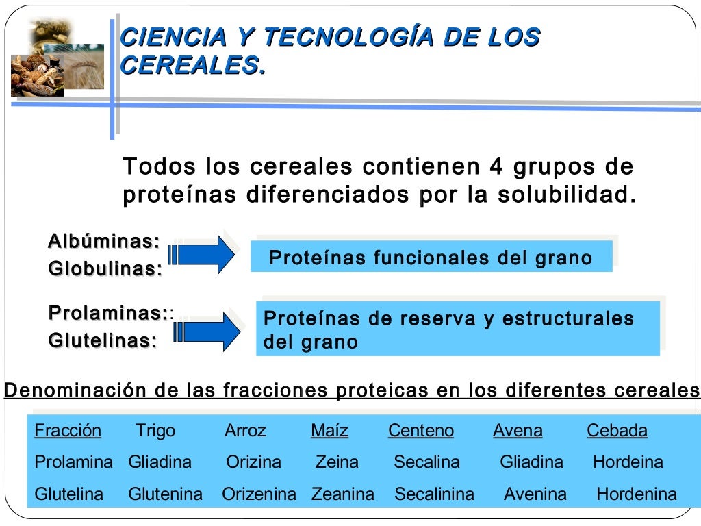 1 caracteristicas generales de los granos de cereales