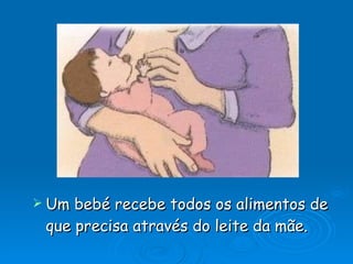 Um bebé recebe todos os alimentos de que precisa através do leite da mãe. 