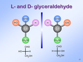 1- Carbohydrates-.pptx jjriofngjgkkfnrjf | PPTX