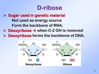 Genetic Ribose 1- Carbohydrates-.pptx jjriofngjgkkfnrjf | PPTX