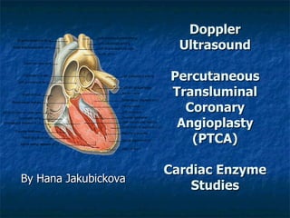 Doppler Ultrasound Percutaneous Transluminal Coronary Angioplasty (PTCA) Cardiac Enzyme Studies ,[object Object]