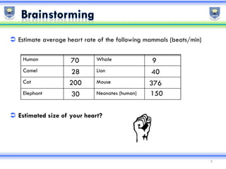 Cardiovascular testing | PDF