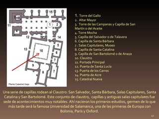Una serie de capillas rodean al Claustro: San Salvador, Santa Bárbara, Salas Capitulares, Santa Catalina y San Bartolomé. Este conjunto de claustro,  capillas y antiguas salas capitula r es fue sede de acontecimientos muy notables. Ahí nacieron los primeros estudios, germen de lo que más tarde será la famosa Universidad de Salamanca, una de las primeras de Europa con Bolonia, París y Oxford. 1.  Torre del Gallo  2.  Altar Mayor  3.  Torre de las Campanas y Capilla de San  Martín o del Aceite  4. Torre Mocha  5. Capilla del Salvador o de Talavera  6. Capilla de Santa Bárbara  7 . Salas Capitulares, Museo  8. Capilla de Santa Catalina  9. Capilla de San Bartolomé o de Anaya 10. Claustro  11. Portada Principal  12. Puerta de Santa Lucía  13. Puerta de los Carros  14. Puerta de Acre  15. Catedral Nueva Planta Catedral Vieja 