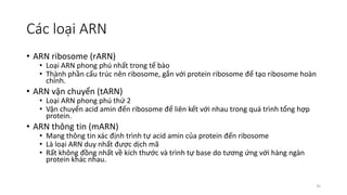Marn Tarn Rarn 1-Cau truc acid nhan va su bieu hien gen.pdf