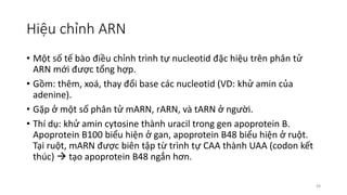 Marn Tarn Rarn 1-Cau truc acid nhan va su bieu hien gen.pdf