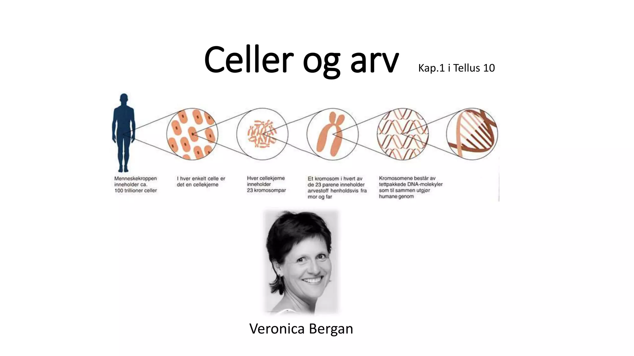1 celler og arv - Introduksjon til kap 1 i Tellus 10, Aschehoug | PPTX, image size:2048x1152