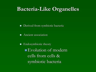 Bacteria-Like Organelles
 Derived from symbiotic bacteria
 Ancient association
 Endosymbiotic theory
Evolution of modern
cells from cells &
symbiotic bacteria
 