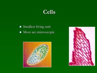 Cells
 Smallest living unit
 Most are microscopic
 