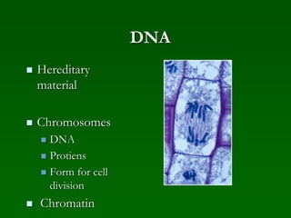 DNA
 Hereditary
material
 Chromosomes
 DNA
 Protiens
 Form for cell
division
 Chromatin
 