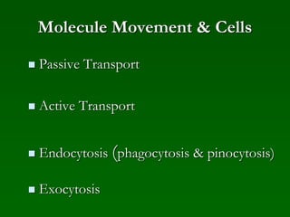 Molecule Movement & Cells
 Passive Transport
 Active Transport
 Endocytosis (phagocytosis & pinocytosis)
 Exocytosis
 