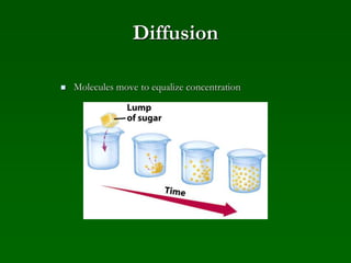 Diffusion
 Molecules move to equalize concentration
 