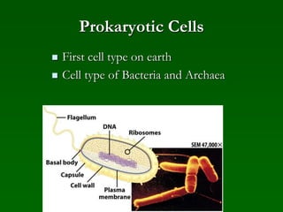 Prokaryotic Cells
 First cell type on earth
 Cell type of Bacteria and Archaea
 