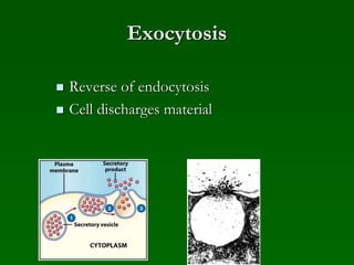 Exocytosis
 Reverse of endocytosis
 Cell discharges material
 