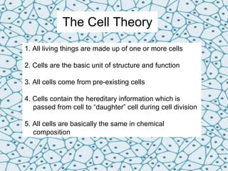 The Cell Theory 1. All living things are made up of one or more cells 2. Cells are the basic unit of structure and function 3. All cells come from pre-existing cells 4. Cells contain the hereditary information which is passed from cell to “daughter” cell during cell division 5. All cells are basically the same in chemical composition 