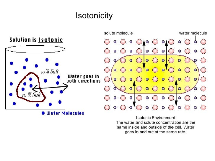 Cell Theory &amp; Membranes