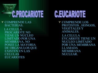 COMPRENDE LAS BACTERIAS. LA CELULA PROCARIOTE NO TIENE UN NUCLEO LIMITADO POR UNA MEMBRANA, NO POSEE LA MAYORIA DE ORGANULOS QUE EXISTEN EN LAS CELULAS EUCARIOTES COMPRENDE LOS PROTISTOS , HONGOS, VEGÉTALES Y ANIMALES. LA CELULA EYCARIOTE TIENE UN NUCLEO LIMITADO POR UNA MEMBRANA LLAMADA MEMBRANA NUCLEAR. C.PROCARIOTE C.EUCARIOTE 