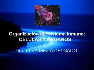 Organización del sistema inmune:
    CÉLULAS Y ÓRGANOS

  Dra. ELVA MEJÍA DELGADO
 