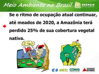 Se o ritmo de ocupação atual continuar,
até meados de 2020, a Amazônia terá
perdido 25% de sua cobertura vegetal
nativa.
Meio Ambiente no Brasil
 