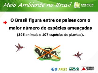 O Brasil figura entre os países com o
maior número de espécies ameaçadas
(395 animais e 107 espécies de plantas).
Meio Ambiente no Brasil
 