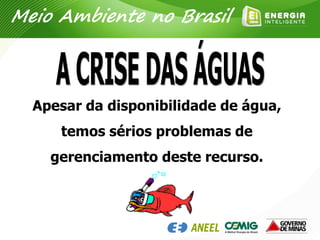 Apesar da disponibilidade de água,
temos sérios problemas de
gerenciamento deste recurso.
Meio Ambiente no Brasil
 