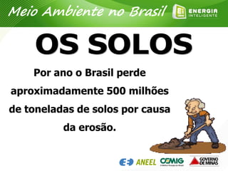 Por ano o Brasil perde
aproximadamente 500 milhões
de toneladas de solos por causa
da erosão.
Meio Ambiente no Brasil
 