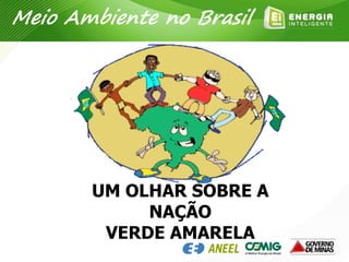 UM OLHAR SOBRE A
NAÇÃO
VERDE AMARELA
Meio Ambiente no Brasil
 