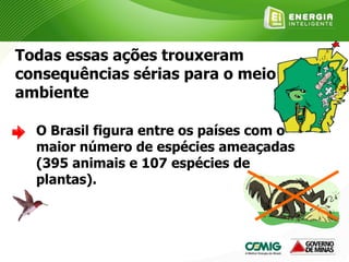 Todas essas ações trouxeram
consequências sérias para o meio
ambiente
O Brasil figura entre os países com o
maior número de espécies ameaçadas
(395 animais e 107 espécies de
plantas).
 