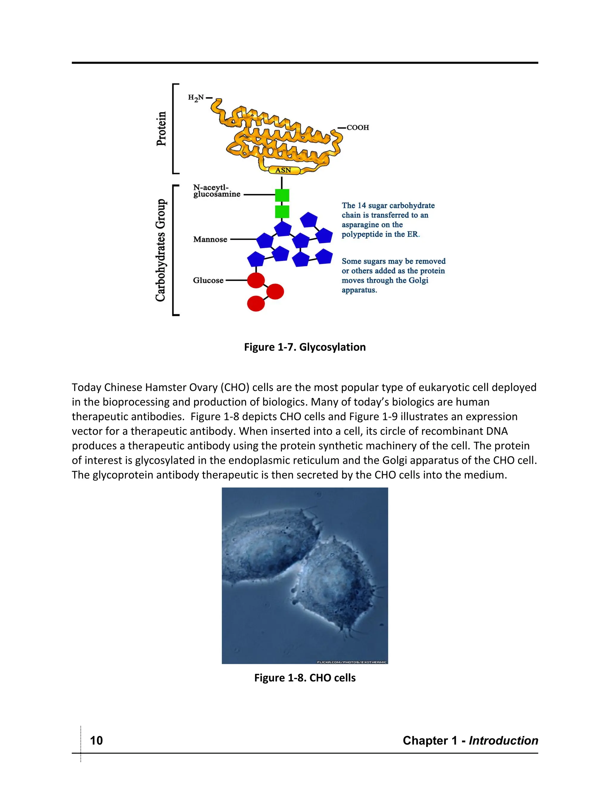 Introduction to Biomanufacturing process | PDF