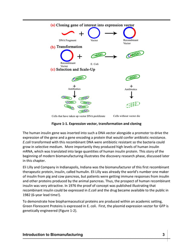 Introduction to Biomanufacturing process | PDF